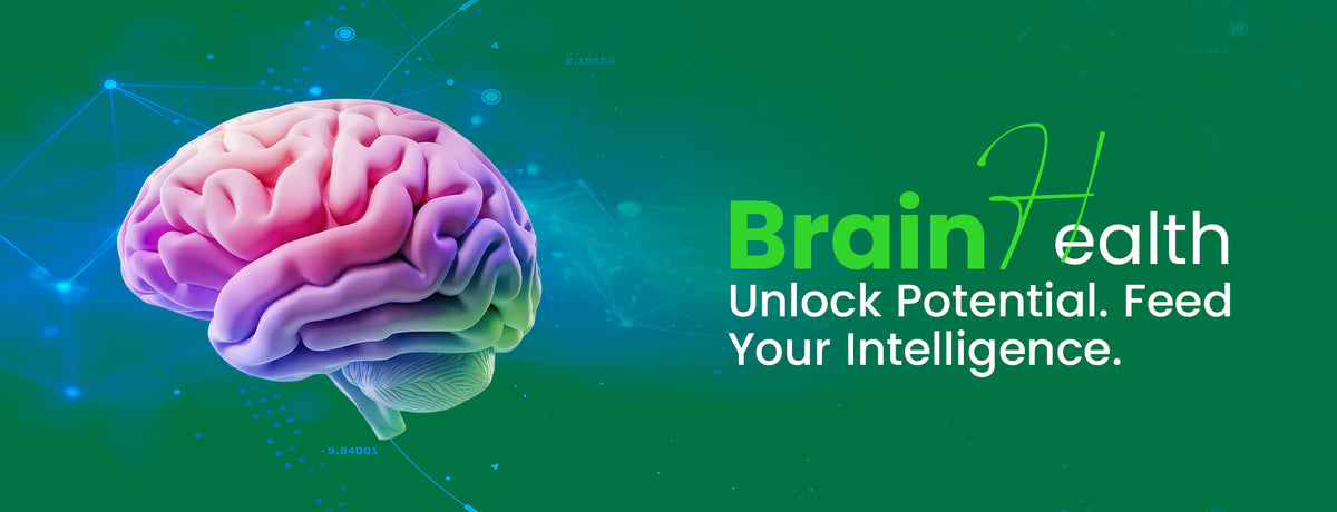 Brain health supplement for focus, memory and cognitive health  Banner