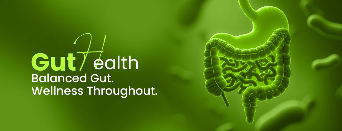 Probiotics for Gut Health Banner