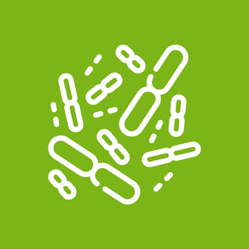 Gut Health